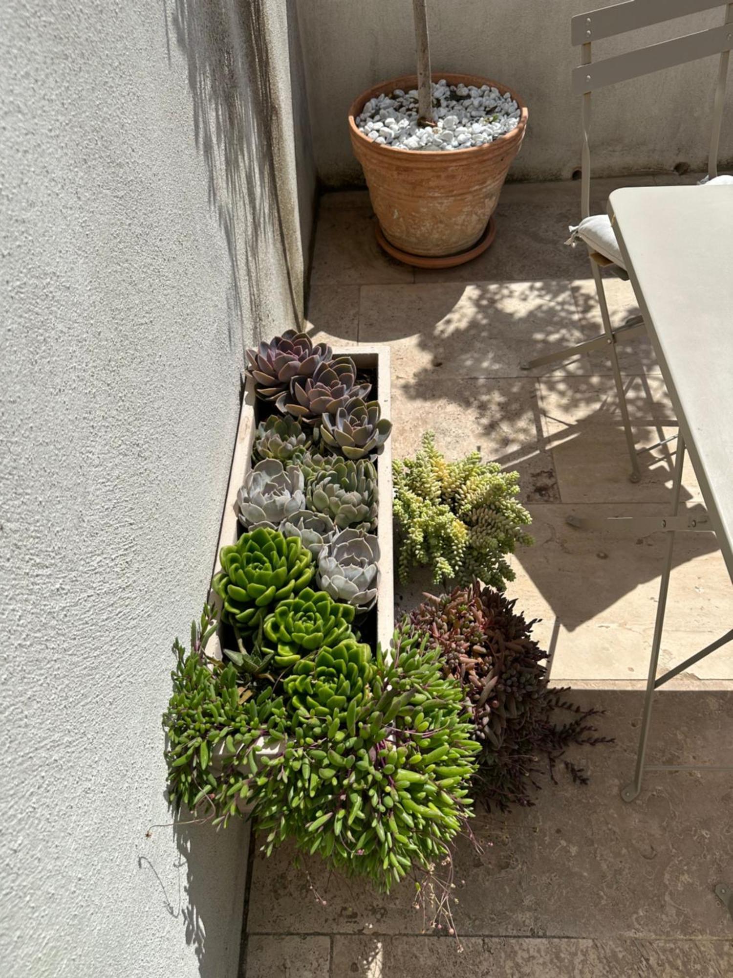 Appartements 3 Etoiles Terrasse Ou Patio Intra-Muros Aigues-Mortes Kültér fotó
